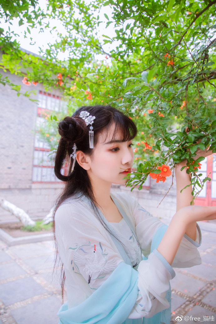 出犯繁花露，归穿弱柳风。出境：原po摄影：@苍术子不是仓鼠_互fo 妆面/后勤小