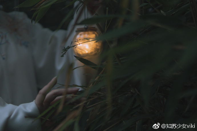 西安约拍超话宝鸡约拍超话和羞走 倚门回首 却把青梅嗅出境 珍珍@木子梳淑 后 预览 3
