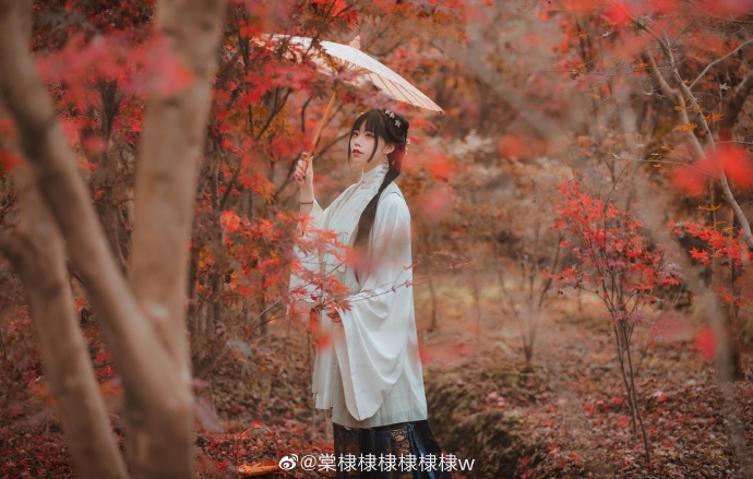 ## 一重山，两重山。山远天高烟水寒，相思枫叶丹。出镜：棠棣摄影：@拿相机的执义 预览 3