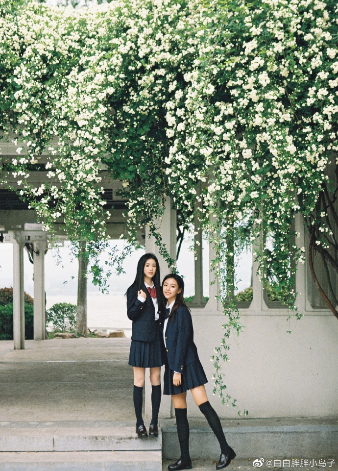 花与少女胶片写真集｜JK制服第一次拍胶片的 虽然是阴天颜色都好好看 不用调色🌚满 预览 2
