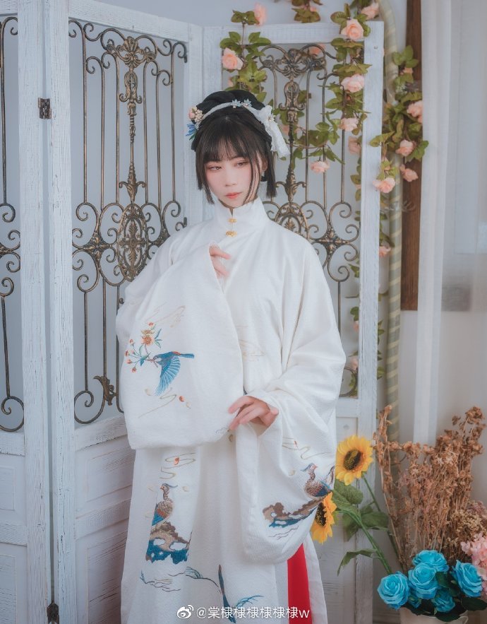 ## 山有木兮木有枝，心悦君兮君不知。出镜：棠棣摄影：@执义想做摄影师 随行：@ 预览 5