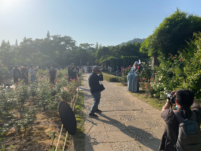 今天去拍正片了！都是原图，随便发发裙子：@露易·波旁  2南京·南京中山植物园  预览 5