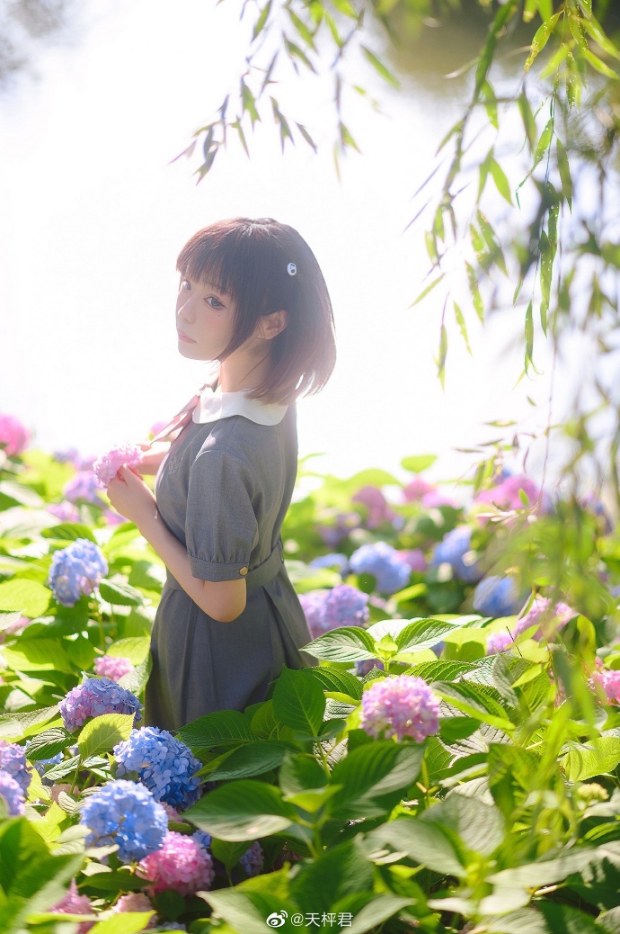 ☀️『——晴空万里的原野、少女咏唱的歌谣和无尽夏，除此之外别无所求——』出镜：@ 预览 2