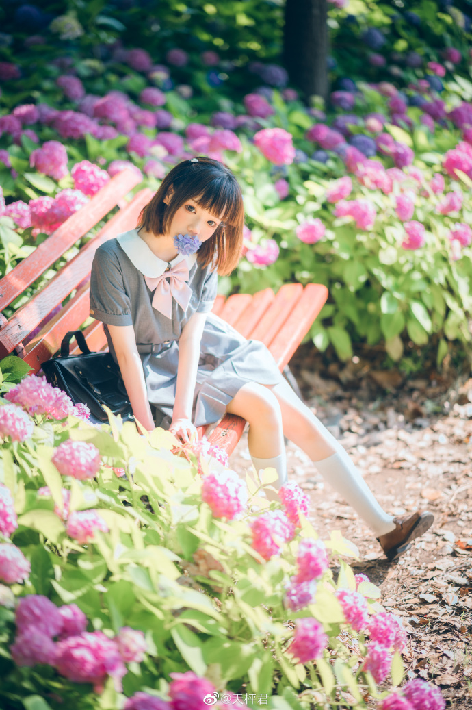 ☀️『——晴空万里的原野、少女咏唱的歌谣和无尽夏，除此之外别无所求——』出镜：@ 预览 5