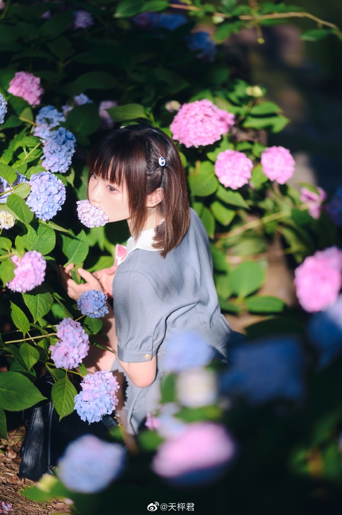 ☀️『——晴空万里的原野、少女咏唱的歌谣和无尽夏，除此之外别无所求——』出镜：@ 预览 6