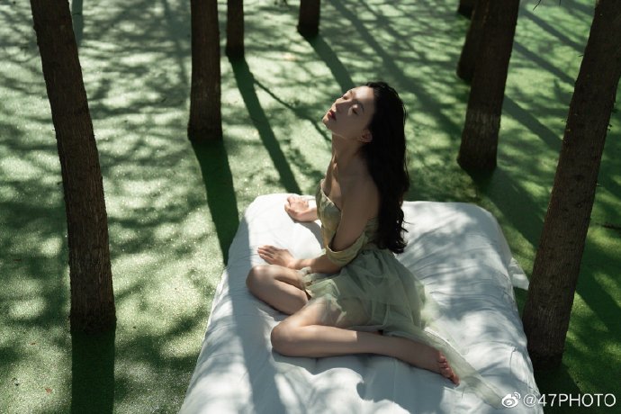 🍃## ​ 预览 4