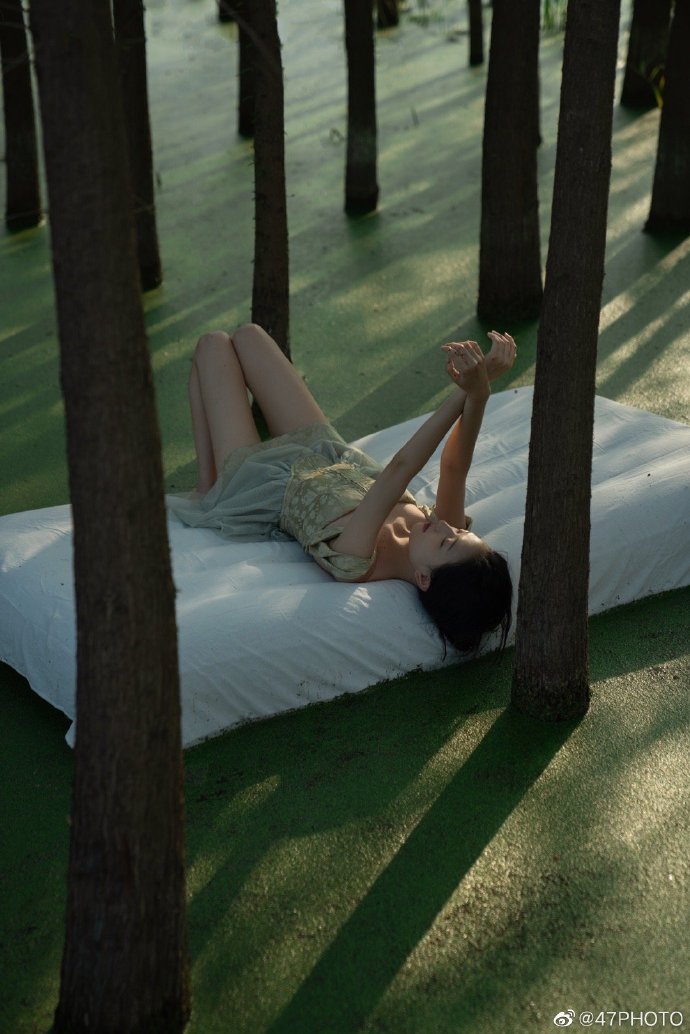 🍃## ​ 预览 6