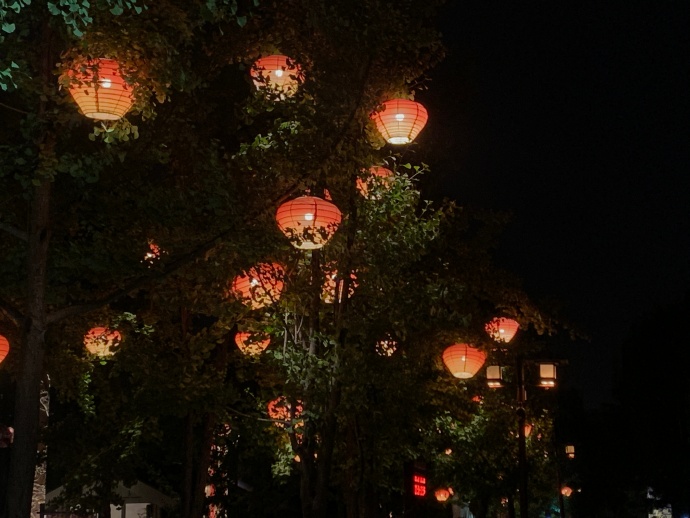 西安是美的 🏮分享人生第一套汉服写真（去年许的小心愿呜呜呜） 2西安·大唐芙蓉园 预览 4