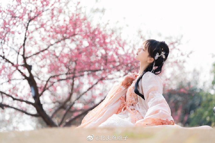 cosplay超话## 人面桃花相映红 ​ 预览 1