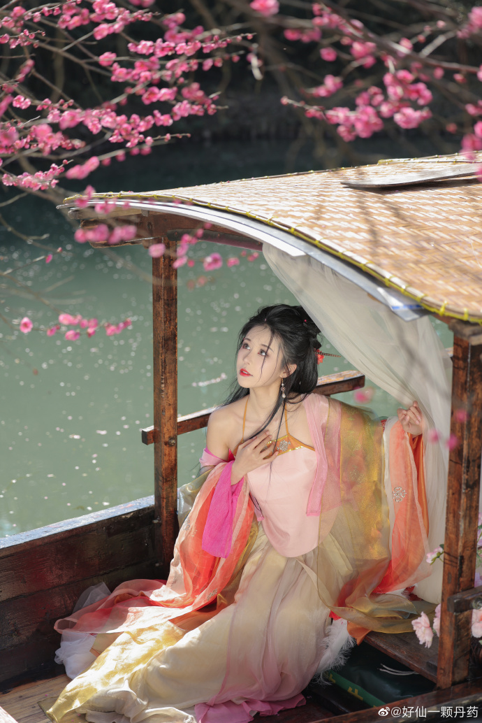 梅花# # # ​ 预览 2