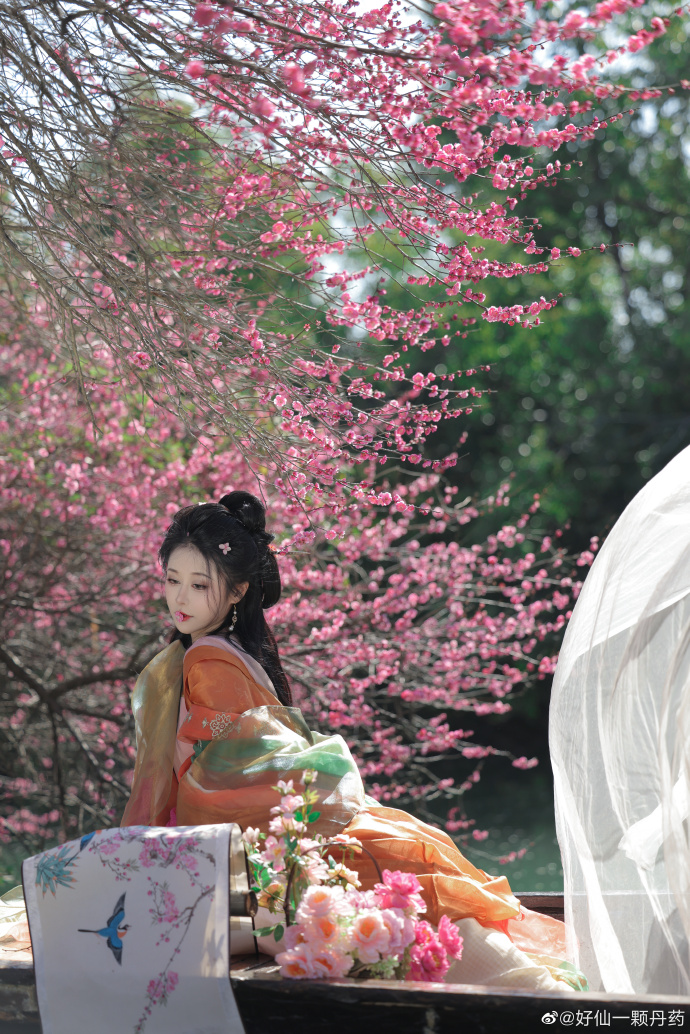梅花# # # ​ 预览 5