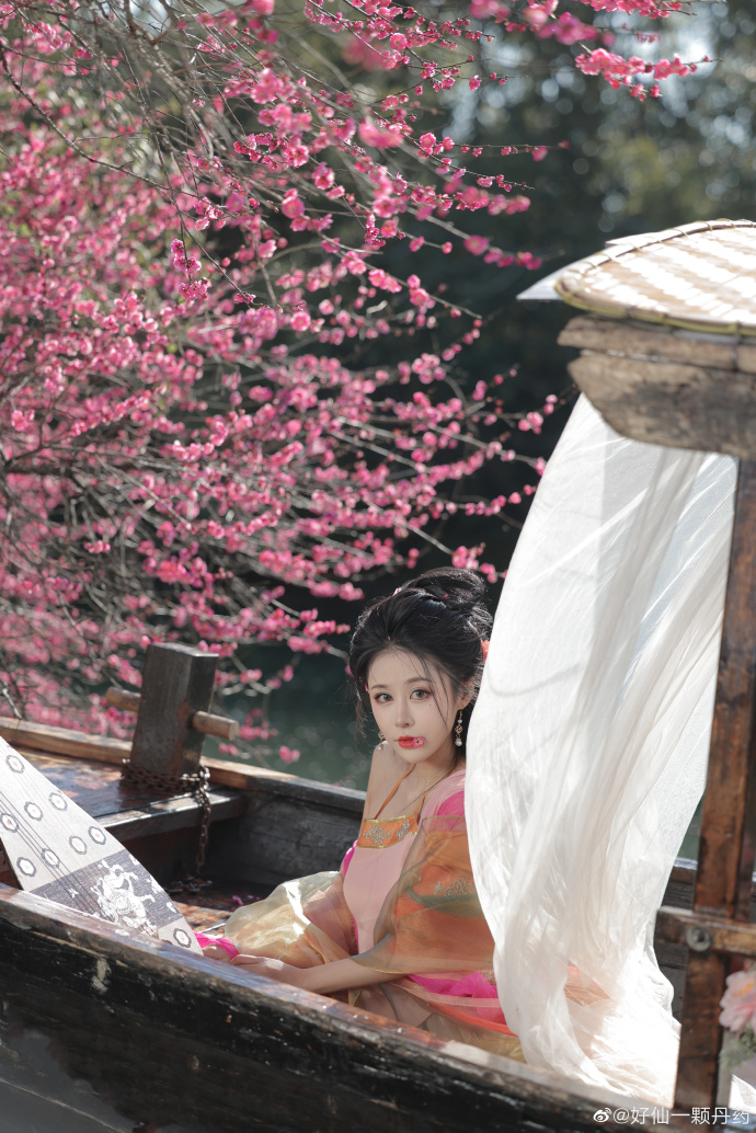 梅花# # # ​ 预览 6