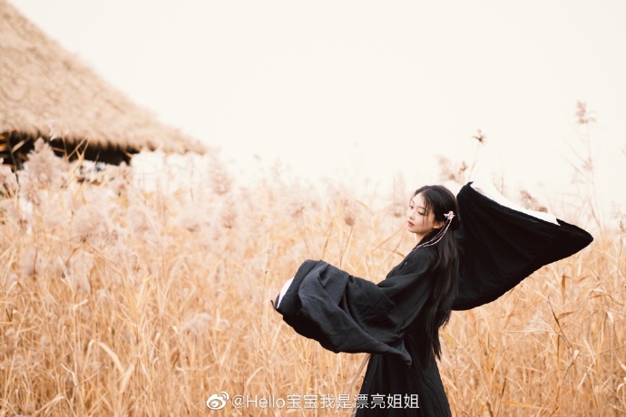 北京约拍超话 国破山河在，城春草木深。📷：@布衣得暖胜丝棉 ###### ​ 预览 2