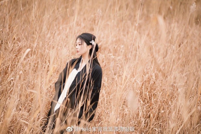 北京约拍超话 国破山河在，城春草木深。📷：@布衣得暖胜丝棉 ###### ​ 预览 3