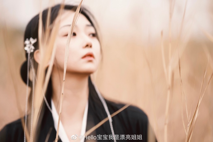 北京约拍超话 国破山河在，城春草木深。📷：@布衣得暖胜丝棉 ###### ​ 预览 4