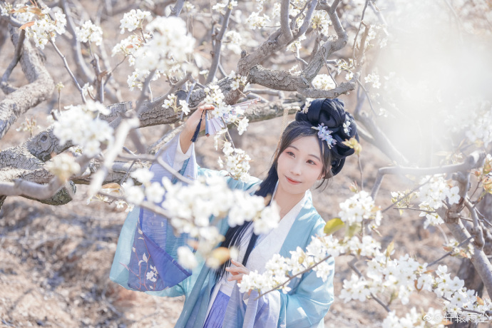 ## 【汉服正片】东栏雪梨花淡白柳深青，柳絮飞时花满城。惆怅东栏一株雪，人生看得 预览 2