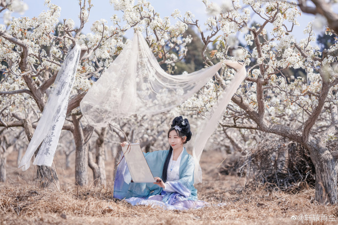 ## 【汉服正片】东栏雪梨花淡白柳深青，柳絮飞时花满城。惆怅东栏一株雪，人生看得 预览 5