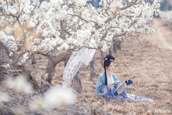 ## 【汉服正片】东栏雪梨花淡白柳深青，柳絮飞时花满城。惆怅东栏一株雪，人生看得 预览 6