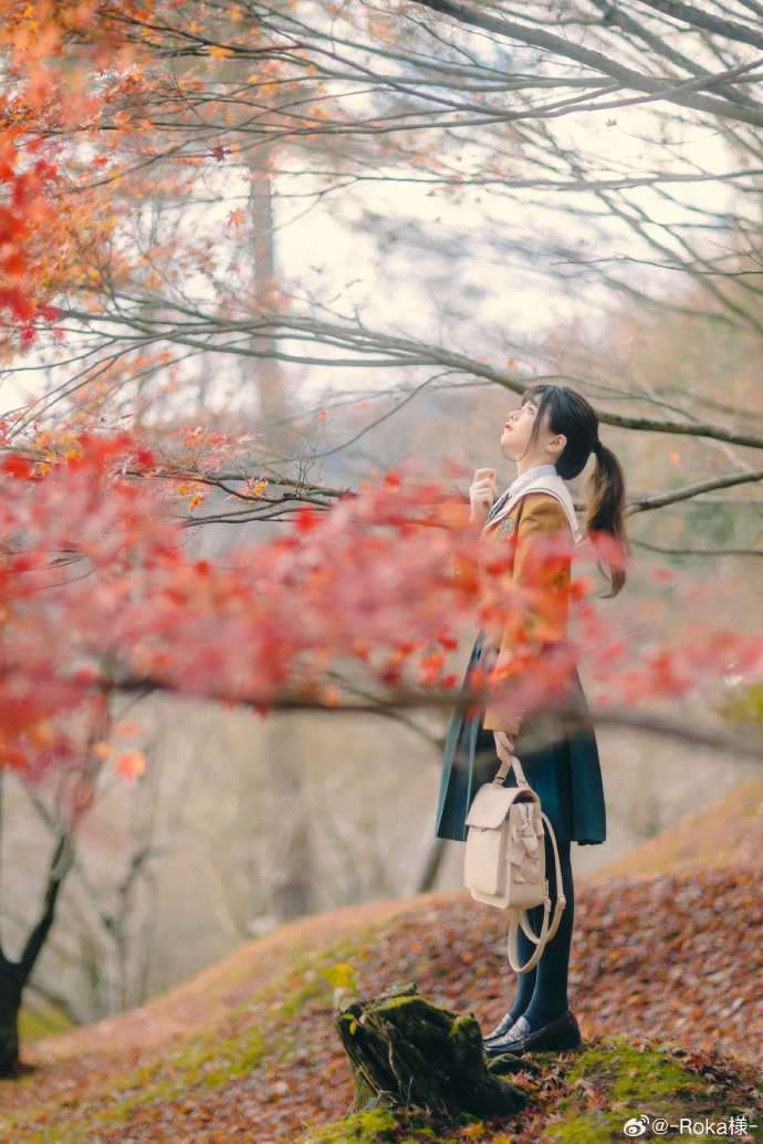 🌊🍁🚴 ### 📷 @有毒光子 ​ 预览 6