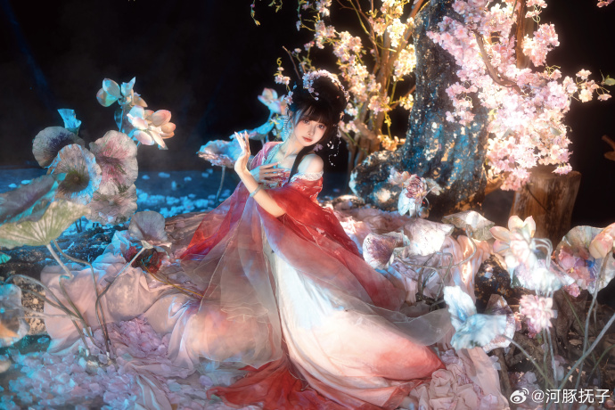 ## 🏮 🏮「天下月色，此間最好」📹：@o夏川凉o 龙年吉祥～新年快乐🧨 预览 4