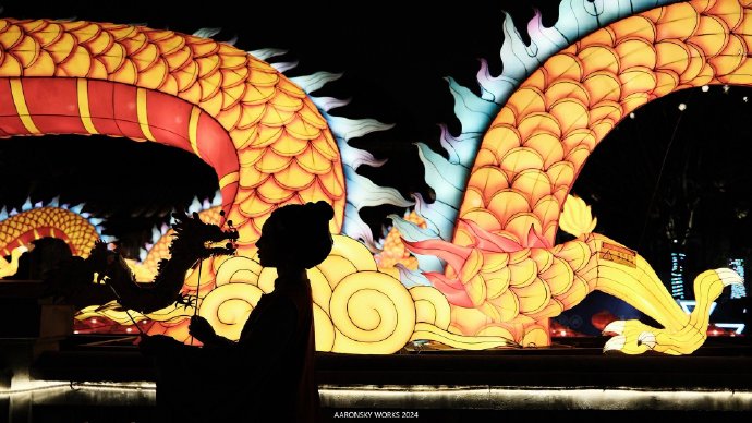 花市灯如昼｜富士X100VI市井写真相机：富士X100VI胶片模拟：经典正片 无 预览 2