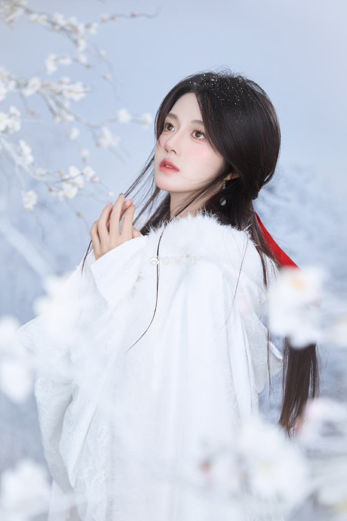 ❄️ ​ 预览 1