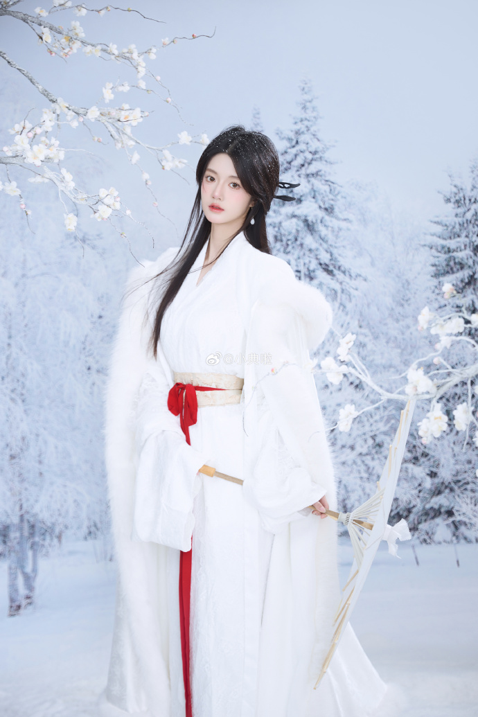 ❄️ ​ 预览 2