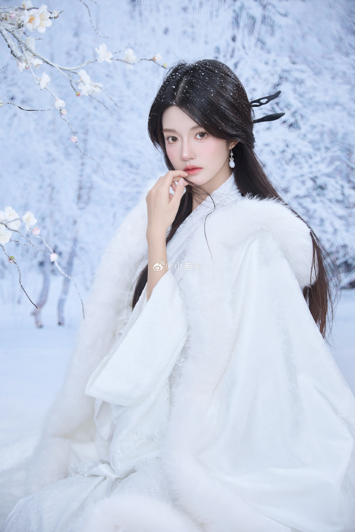❄️ ​ 预览 3