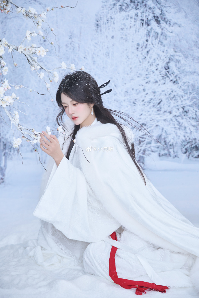 ❄️ ​ 预览 4