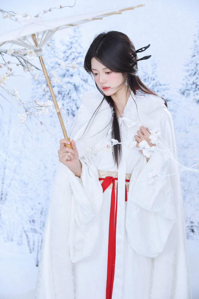 ❄️ ​ 预览 5