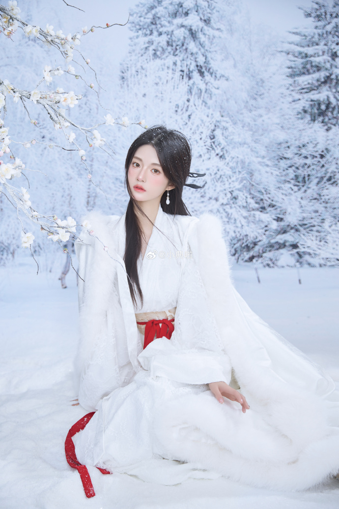 ❄️ ​ 预览 6