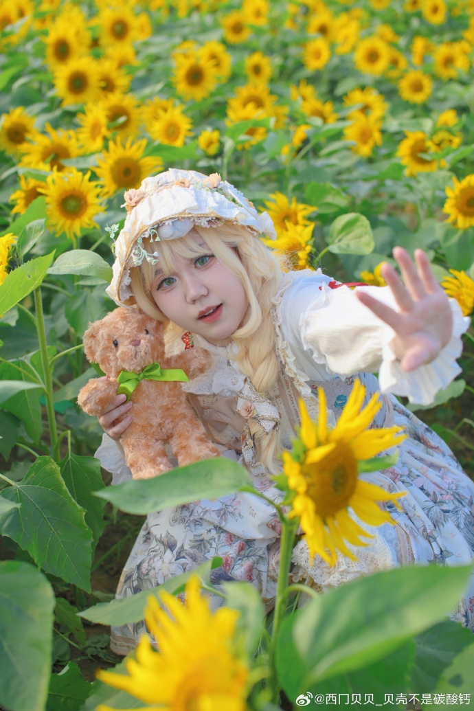 🌻Lolita正片🌻🌞🌞🌞🌞🌞🌞🌞🌻🌻🌻🙆🏻‍♀️🌻🌻🌻 来收太阳出镜：贝壳（俺 预览 2