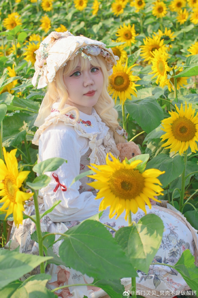 🌻Lolita正片🌻🌞🌞🌞🌞🌞🌞🌞🌻🌻🌻🙆🏻‍♀️🌻🌻🌻 来收太阳出镜：贝壳（俺 预览 5