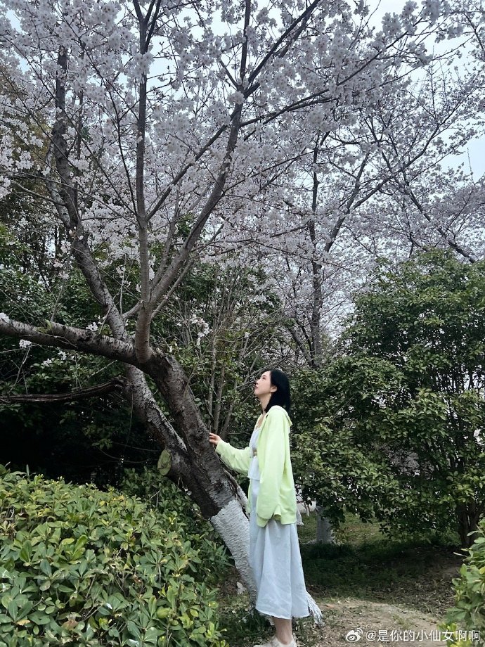 春天✌🏻✌🏻✌🏻 ​ 预览 5