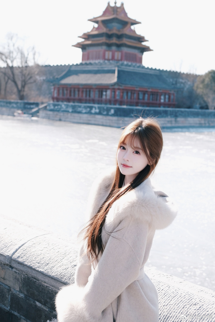 ❄️⛄️北平的冬零下十度的故宫角楼 河面结了厚厚的冰但体感温度真的没有上海冷！！ 预览 3