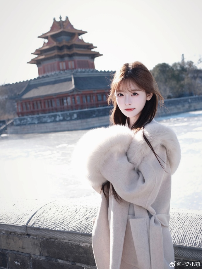 ❄️⛄️北平的冬零下十度的故宫角楼 河面结了厚厚的冰但体感温度真的没有上海冷！！ 预览 4