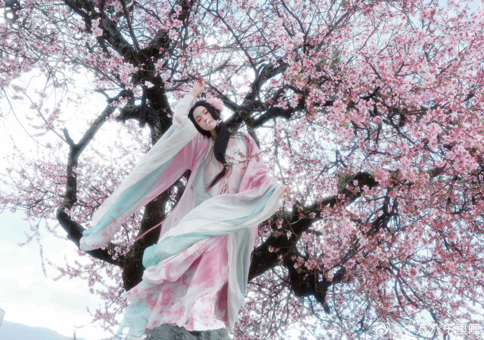 🌸📷阿月圆圆十里呐超话## ​ 预览 1