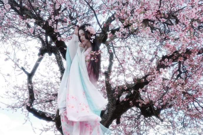 🌸📷阿月圆圆十里呐超话## ​ 预览 2