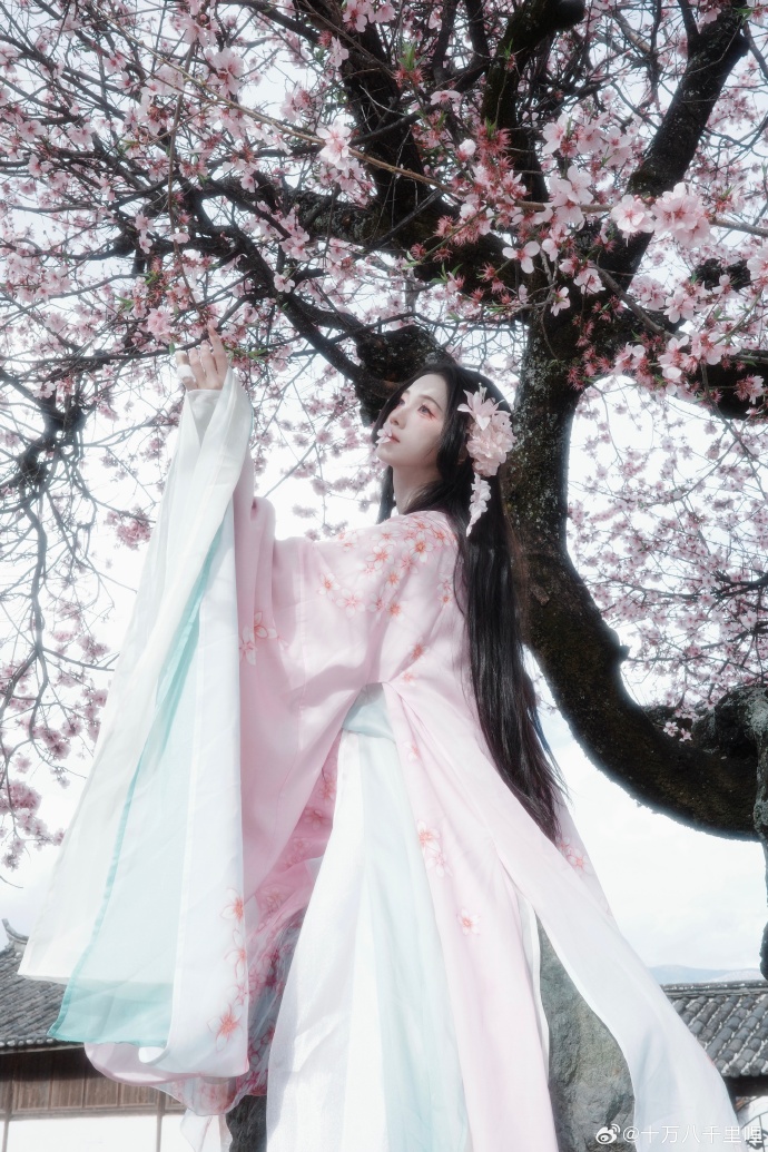 🌸📷阿月圆圆十里呐超话## ​ 预览 4