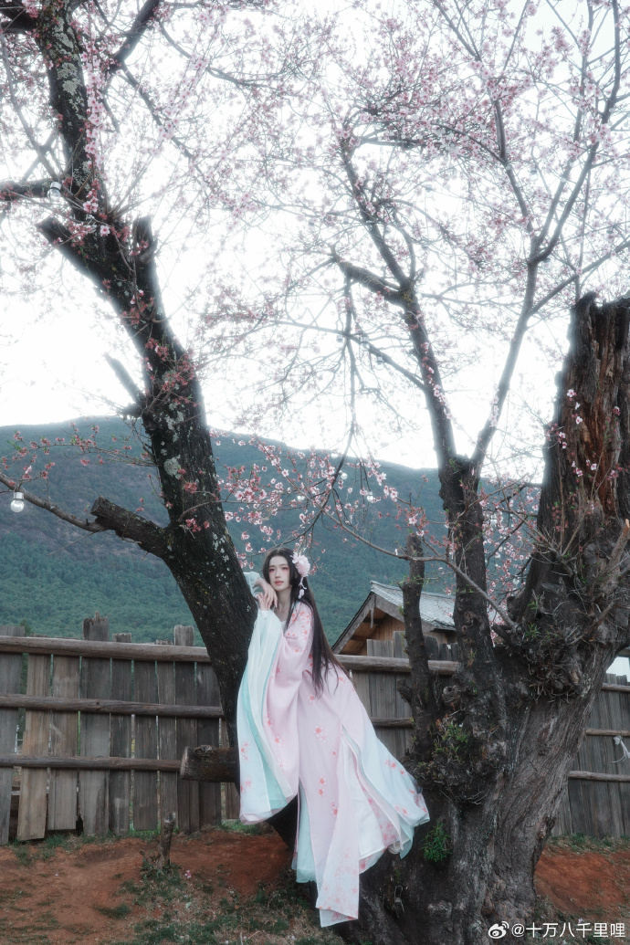 🌸📷阿月圆圆十里呐超话## ​ 预览 5