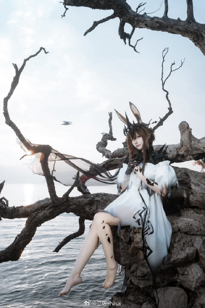 ## 📷:@七瑾大魔王 ​ 预览 6
