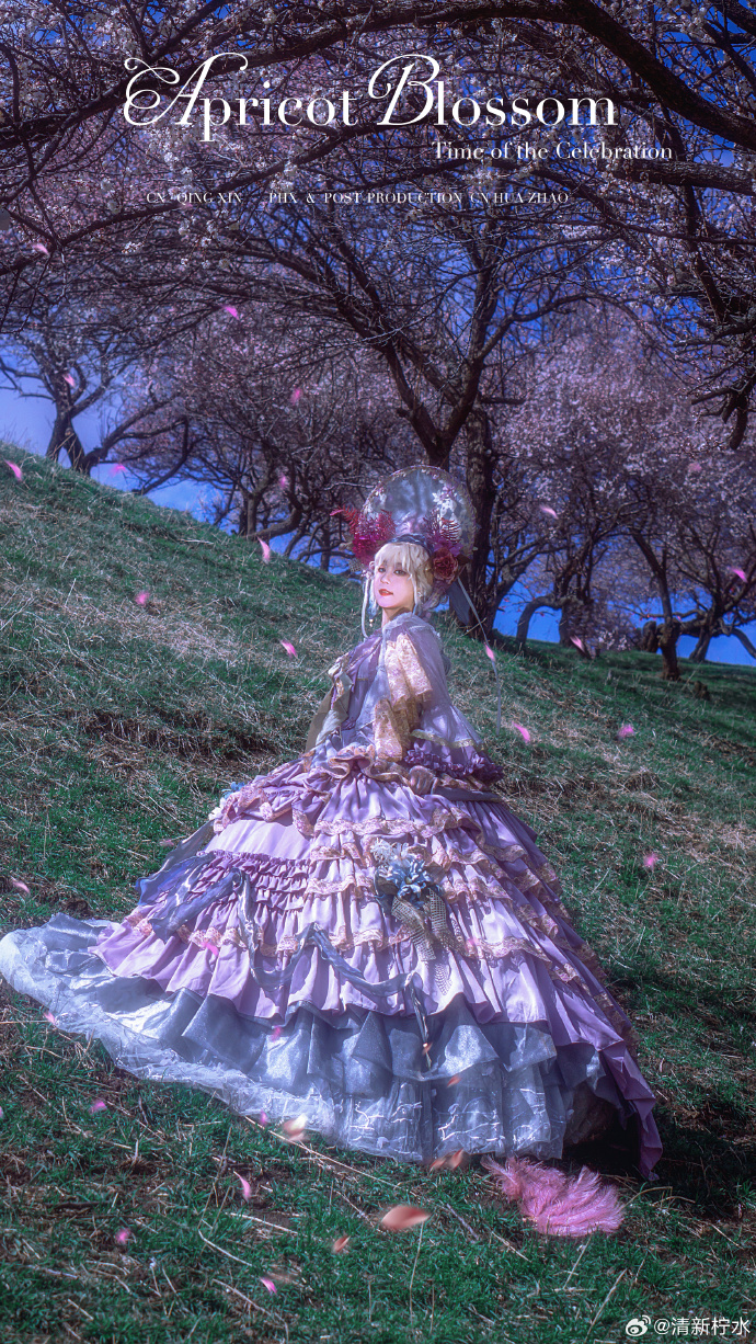 ### lolita正片 庆典之期当春风吻上裙摆，盛放的杏花便成了庆典之期最盛大 预览 3