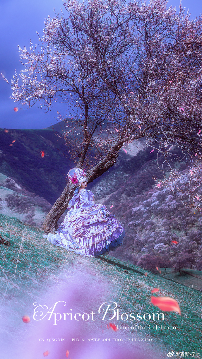 ### lolita正片 庆典之期当春风吻上裙摆，盛放的杏花便成了庆典之期最盛大 预览 4