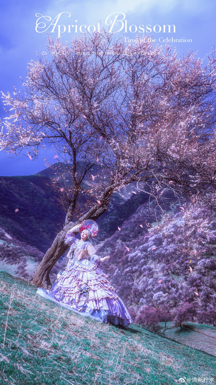 ### lolita正片 庆典之期当春风吻上裙摆，盛放的杏花便成了庆典之期最盛大 预览 6