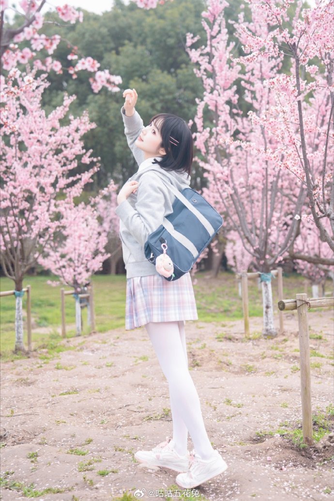 初春时候拍的fafa开心₍ᵔ•ᴗ•ᵔ₎📷：@极地羽翼 ### ​ 预览 3