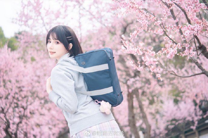 初春时候拍的fafa开心₍ᵔ•ᴗ•ᵔ₎📷：@极地羽翼 ### ​ 预览 5