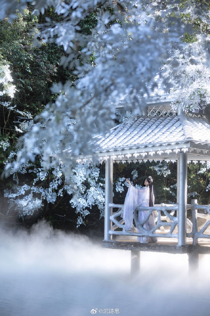 紫纱栖仙骨，一念渡尘缘。摄影/后期：@沉诗思 出镜：芝芝琪拍摄地：柳州### 2 预览 4