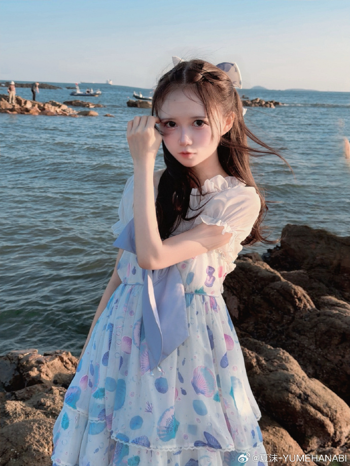 海鸥不再眷恋大海 ​ 预览 2