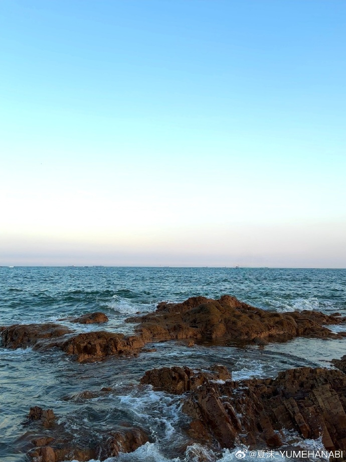 海鸥不再眷恋大海 ​ 预览 5