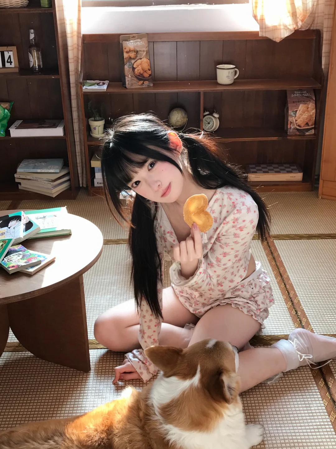 🍪 预览 5